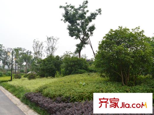 公園壹號小區(qū)周邊公園實景圖