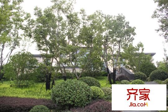 五礦九璽臺項目園區(qū)(2014-08-26)