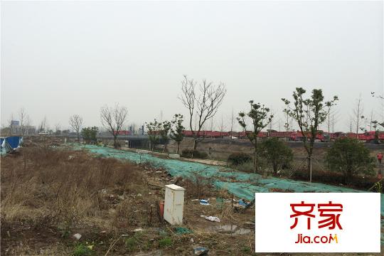 升龍?zhí)一▓@著項(xiàng)目地塊實(shí)景（2015-3-19）