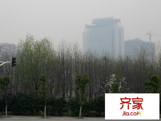 盛康河西大街地塊