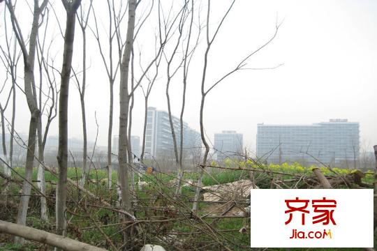 盛康河西大街地塊尚未動(dòng)工（2015-1-6）