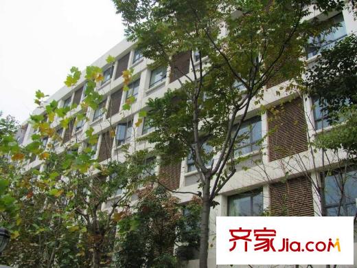 奧體月安街項目奧體月安街上中華中學(xué)（2012.11）