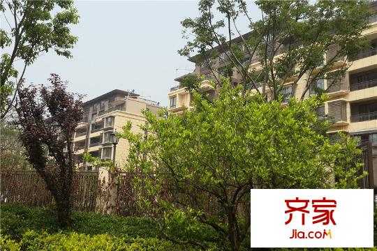 中海御山府小區(qū)綠化(2015-6-02）