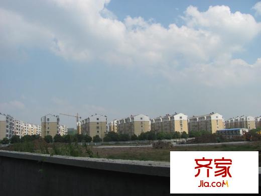新理想家