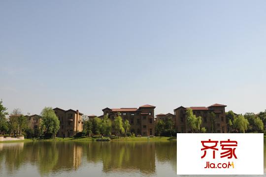 碧桂園城市花園別墅區(qū)實景(2015-03-31)