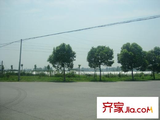 騁望怡峰花園附近農(nóng)田（2013-08-02）
