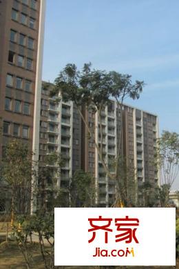 愛濤尚逸華府現(xiàn)房實(shí)景（2015-3-24）