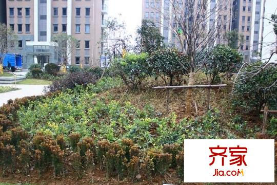 愛濤尚逸華府