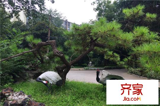 中電頤和府邸小區(qū)內(nèi)園林綠化（2015-08-21）