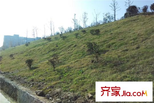 中電頤和府邸言和路景觀綠化
