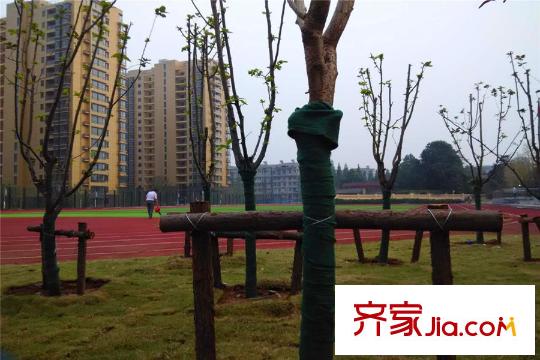中國鐵建青秀城青秀城小學(xué)運(yùn)動(dòng)場(chǎng)