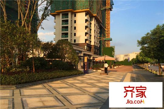 中國鐵建青秀城小區(qū)入口園林綠化（2015-09-10）