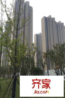 保利中央公園樓盤外景（2015-10-15）