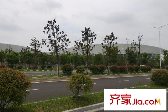 保利西江月距離項(xiàng)目1.5公里空地