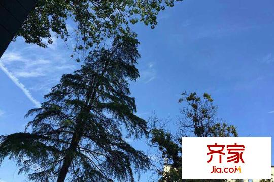 電建地產(chǎn)海賦尚城最新售樓處景觀綠化（2015-06-04）