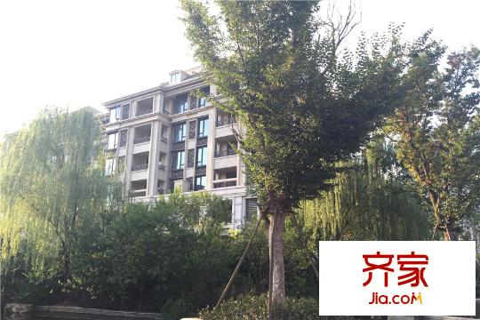銀億東城小區(qū)綠化(2015.9.8)