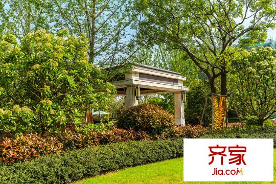 升龍公園道園區(qū)實(shí)景（2015-6-5）