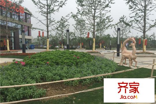 南京綠地國際花都售樓處景觀（2015-6-10）