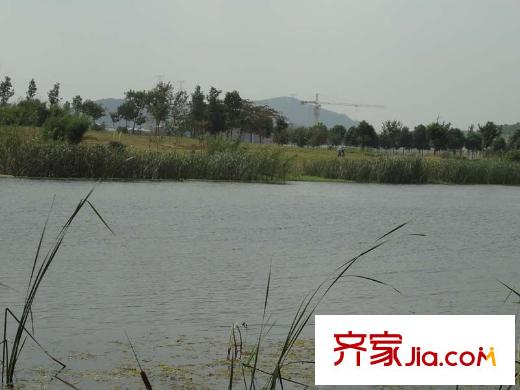 金地湖城藝境仙林湖實(shí)景（2013.10）
