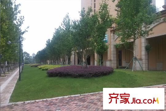 雅居樂(lè)濱江國(guó)際雅居樂(lè)周邊環(huán)境（2015-7-10）