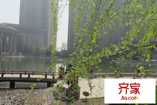 恒大雅苑社區(qū)園林實(shí)景(2015-07-22)