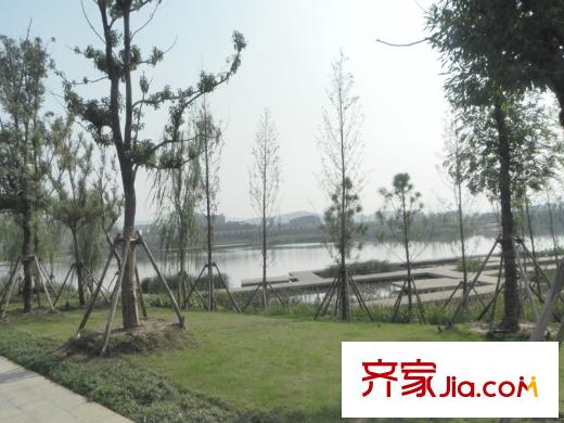 啟迪方洲周邊配套中央公園