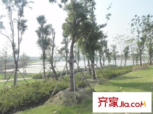 啟迪方洲周邊配套中央公園