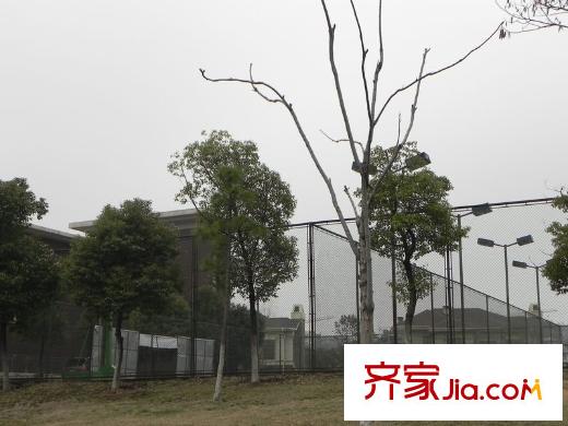 復(fù)地朗香別墅項目北側(cè)網(wǎng)球場和籃球場