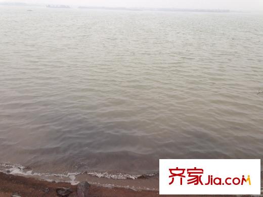 東屏湖9號周邊湖景實景圖（2014-03-28）