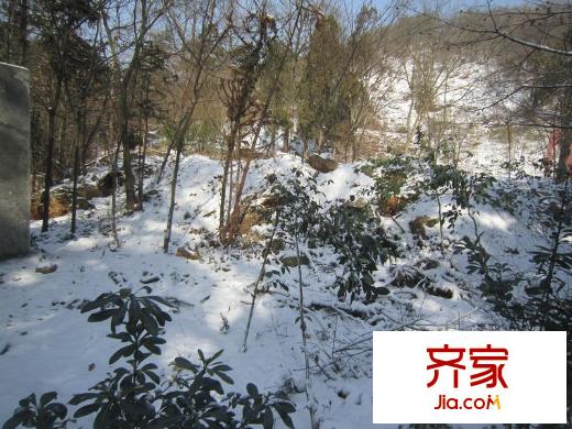 佛手湖森林莊園老山風(fēng)光