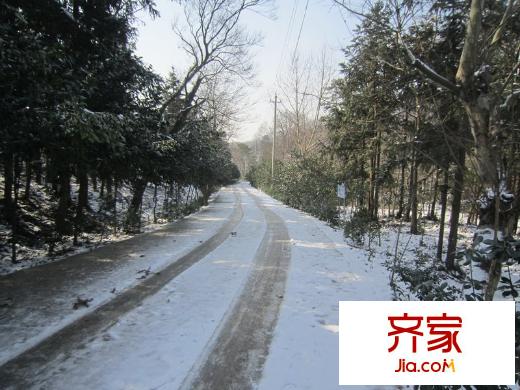 佛手湖森林莊園老山風(fēng)光