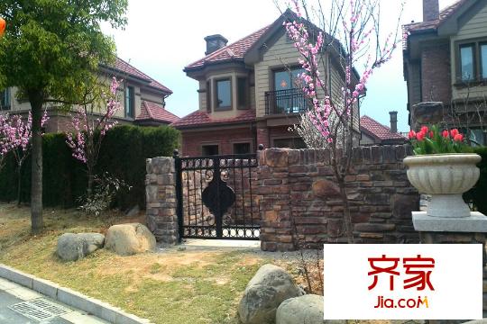 新湖仙林翠谷春日小區(qū)美景（2015-03-30）