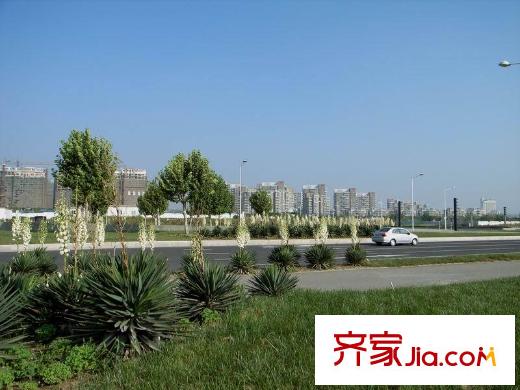 新湖仙林翠谷周邊仙林大道