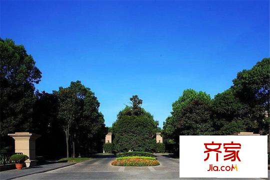 綠城玫瑰園小區(qū)內(nèi)部綠化（2015-03-19）