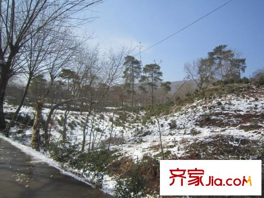 綠城玫瑰園老山風(fēng)光