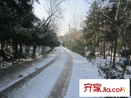 綠城玫瑰園老山風(fēng)光