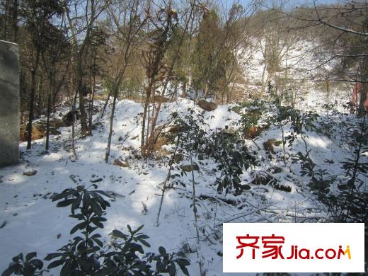 綠城玫瑰園老山風(fēng)光