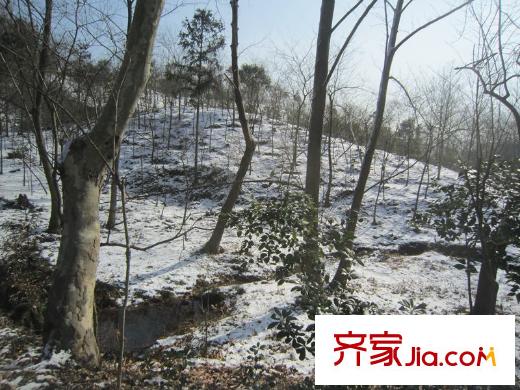 綠城玫瑰園老山風(fēng)光
