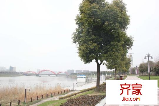 明月天瓏灣實景（2015-3-11）