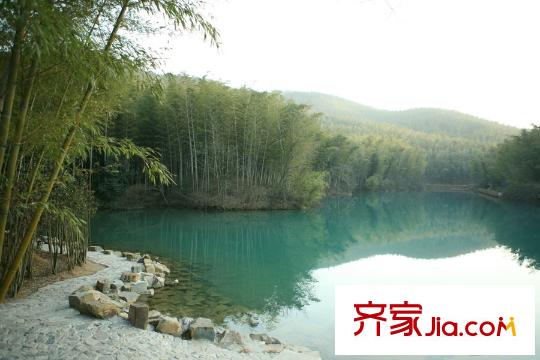 羅托魯拉周邊林園