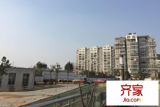 金泉泰來苑樓棟遠景（2015.03.12）