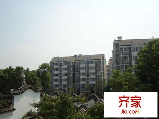 金泉泰來苑外景圖