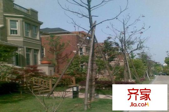 山水華門外景圖