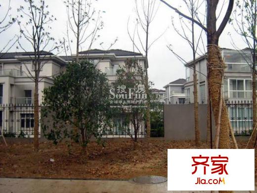 秦淮綠洲別墅外景圖