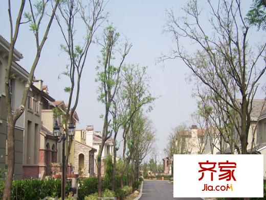 立信瑞景文華外景圖