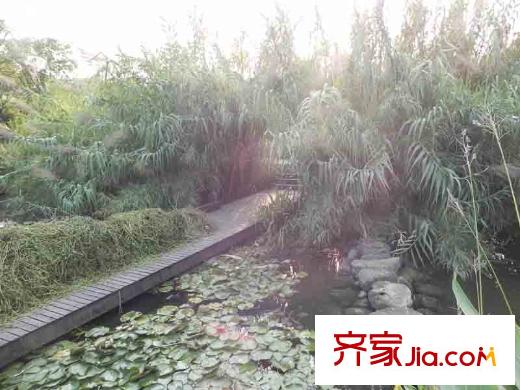 加州城小區(qū)外圍池塘（2011.11）