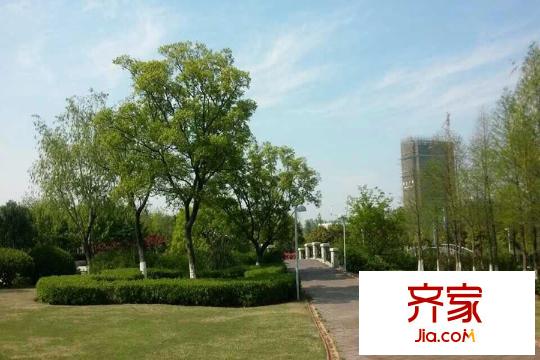 加州城售樓處園林實景（2015-7-1）