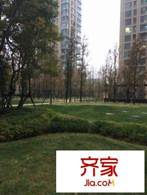 綠城西子公寓外景圖 