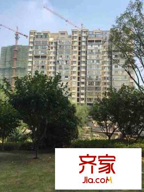 中電頤和家園外景圖