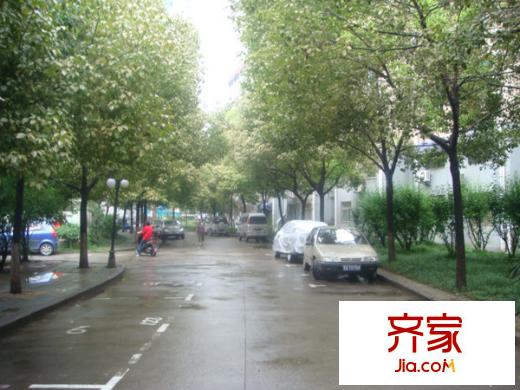 清江花苑外景圖